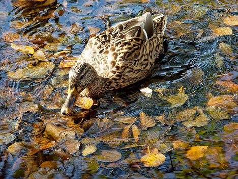 20221029_XA293743_EM1II_DxO-wp-cut