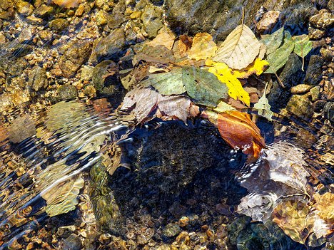 20221029_XA293746_EM1II_DxO-wp-crop