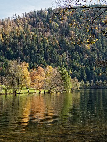 20221029_XA293748_EM1II_DxO-wp