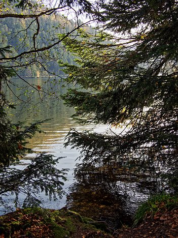 20221029_XA293750_EM1II_DxO-wp