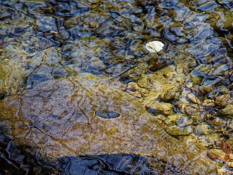 20221029_XA293752_EM1II_DxO-wp