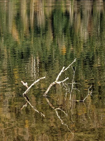 20221029_XA293754_EM1II_DxO-wp-crop