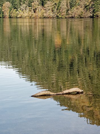 20221029_XA293755_EM1II_DxO-wp