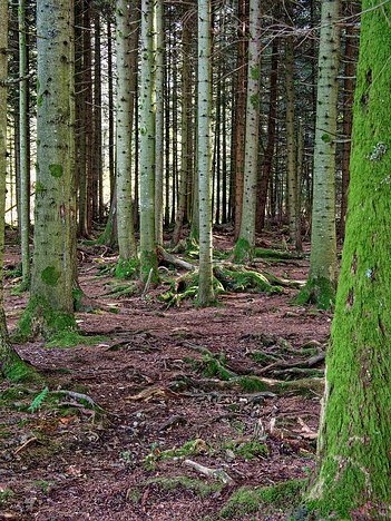 20221029_XA293757_EM1II_DxO-wp