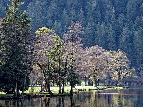 20221029_XA293758_EM1II_DxO-wp-crop