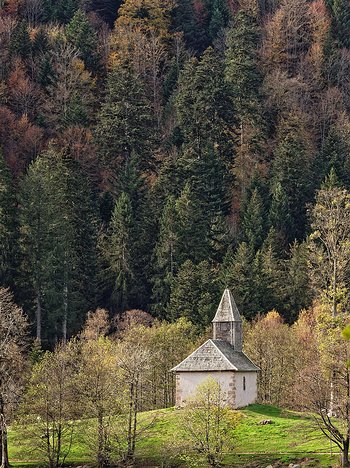 20221029_XA293761_EM1II_DxO-wp-crop2