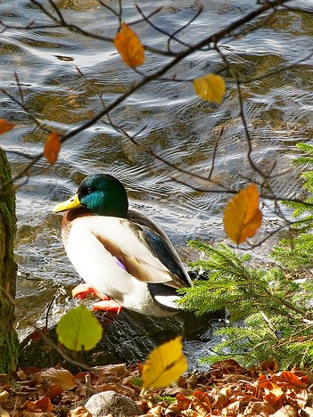 20221029_XA293764_EM1II_DxO-wp-crop