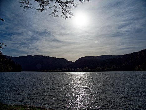 20221029_XA293766_EM1II_DxO-wp