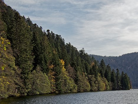 20221029_XA293767_EM1II_DxO-wp-crop