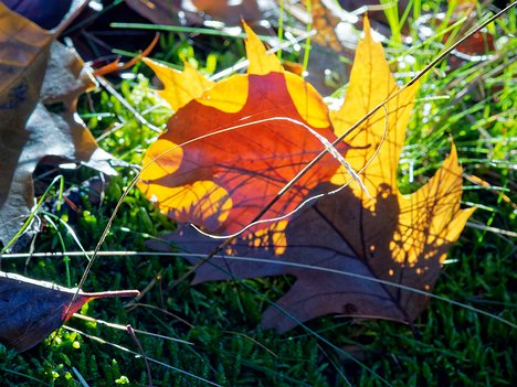 20221022_XA223727_EM1II_DxO-wp-crop