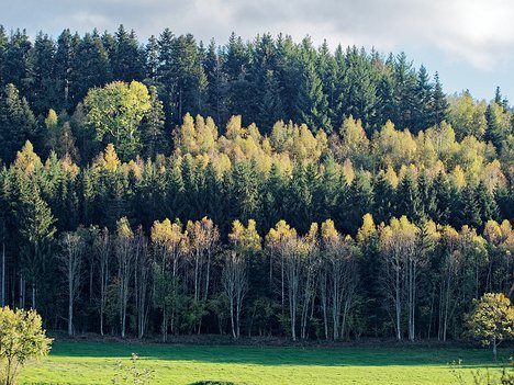 20221101_XB013768_EM1II_DxO-wp