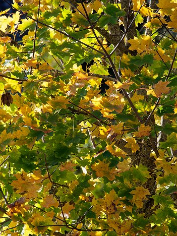 20221101_XB013772_EM1II_DxO-wp