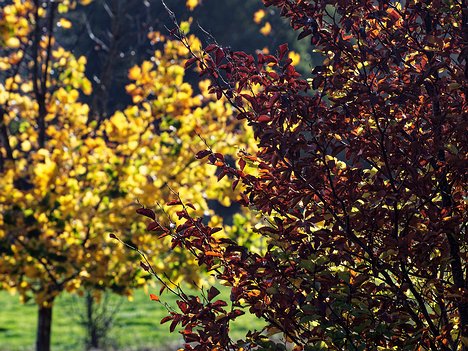 20221101_XB013773_EM1II_DxO-wp