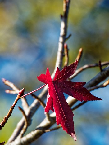 20221101_XB013775_EM1II_DxO-wp-crop