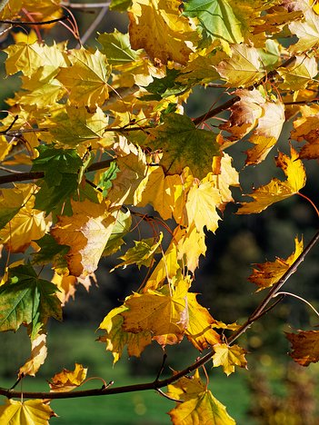 20221101_XB013779_EM1II_DxO-wp