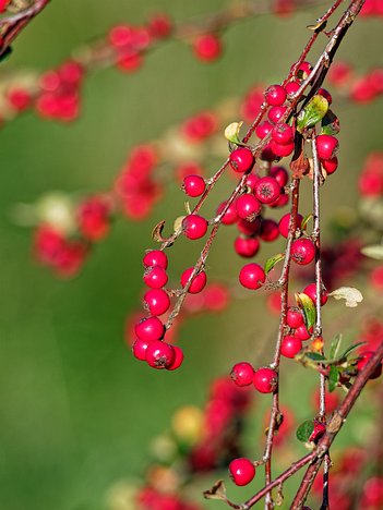 20221101_XB013780_EM1II_DxO-wp