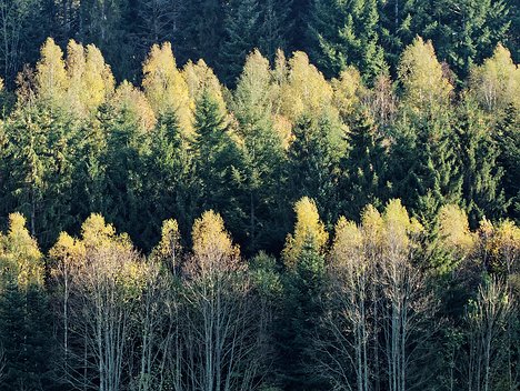 20221101_XB013786_EM1II_DxO-wp-crop