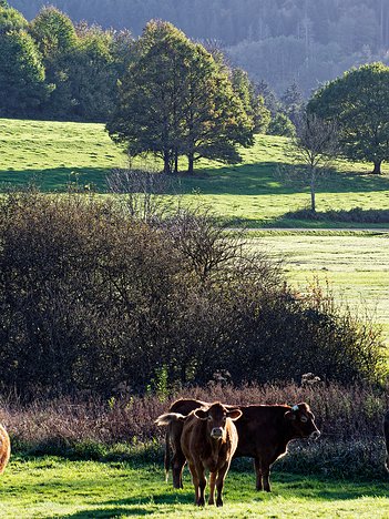 20221101_XB013792_EM1II_DxO-wp