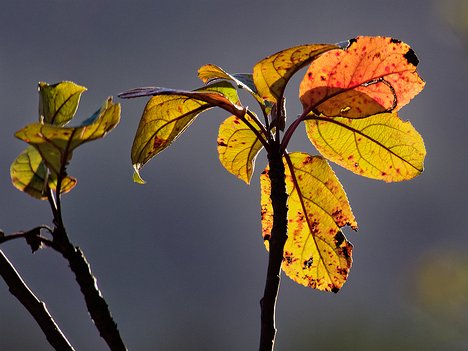 20221101_XB013797_EM1II_DxO-wp-crop