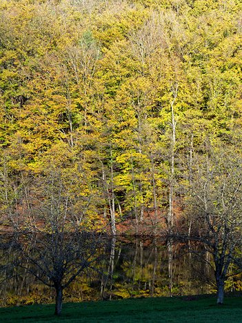 20221110_XB103843_EM1II_DxO-hdrr-crop