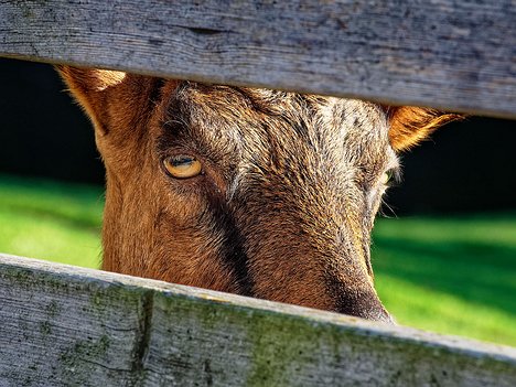 20221110_XB103854_EM1II_DxO-wpp-crop