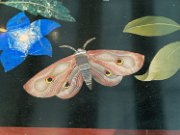 France, Louvre-Lens Museum : France, Louvre-Lens Museum