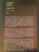 France, Louvre-Lens Museum : France, Louvre-Lens Museum