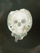 France, Louvre-Lens Museum : France, Louvre-Lens Museum