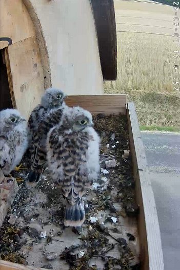 20220701 0701 2030066264 C310 16h01