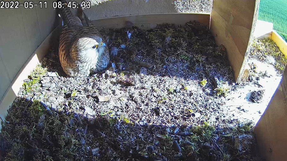 20220511 0845359822 C100