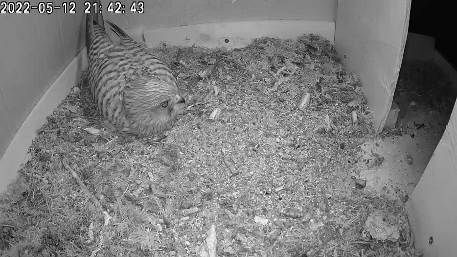 20220512 2143096750 C100