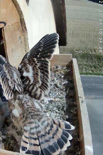 20220704 0704 1035263325 C310 10h04