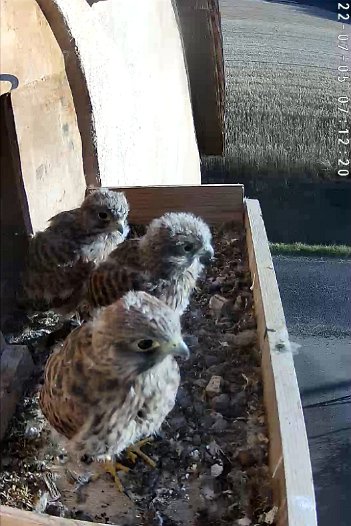 20220705 0705 0959386911 C310 07h12