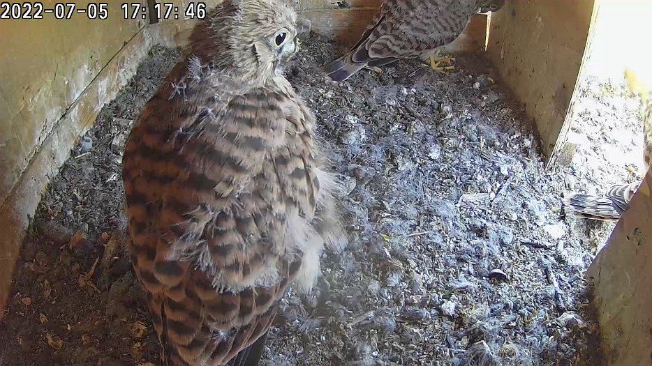 20220705 1717505433 C100 17h17