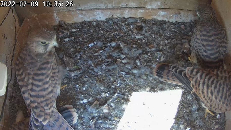 20220709 1035313920 C200 10h35