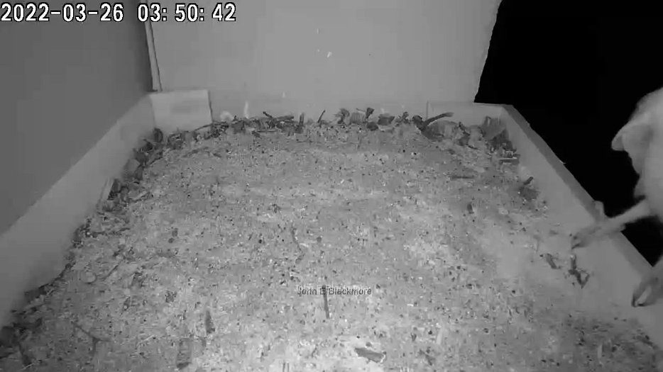 20220326 0350 1648316908055-1280w