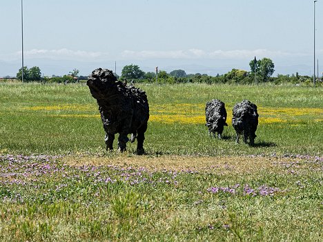 20240622_X6220452_EM1II_DxO-HDRrealDP7XD