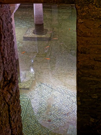 20240623_X6230902_EM1II_DxO-HDRrealDP7XD goldfish in the flooded crypt