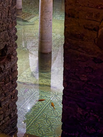 20240623_X6230905_EM1II_DxO-HDRrealDP7XD goldfish in the flooded crypt