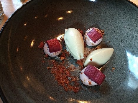 Grahams-Kitchen-Restaurant_Amsterdam_20190510_IMG205805926 fifth course: rhubarb, white chocolate, mint, rhubarb sorbet