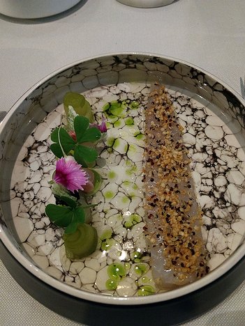 Senses-Restaurant_Amsterdam_20190506_IMG195508150_DxO Sea bream ceviche with quinoa, pickled cucumber caviar, Jalepino pepper cream