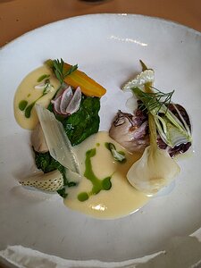 20240515_PXL112739306_Pixel7a-JEB Assiette Potagère et de Cueillette Alsace vegetable plate, pickled white strawberry, fennel, onion, sorrel, acacia cream