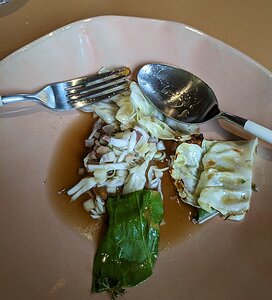 20240515_PXL114440784_Pixel7a-JEB pointed Alsace cabbage on cabbage and ham salad, pork and woodruff infusion