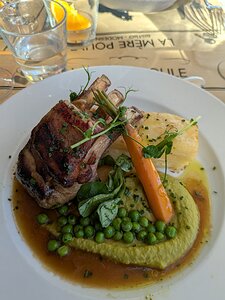 20250804_PXL175301553_Pixel7a-JEB lamb