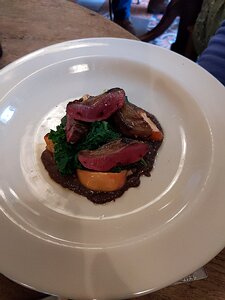 20211005_PXL133927194_Pixel3a-JEB Pigeon