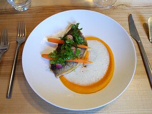 20200723_IMG130504_Pixel3a-JEB Filet de Daurade Royale, Carottes et Radis Roses au Gingembre / Salade d’Herbes fraîches