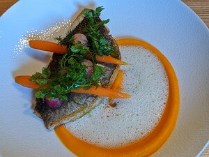 20200723_PORTRAIT_BURST130517851_Pixel3a-JEB Filet de Daurade Royale, Carottes et Radis Roses au Gingembre / Salade d’Herbes fraîches