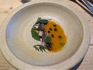 20240809_PXL180818828_Pixel7a-JEB Mackerel, Carrot, Quilquina