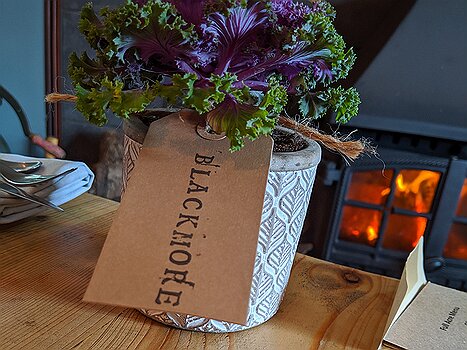 Cranbrook (Kent) - The Small Holding