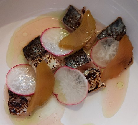 20210610_PXL120303354_Pixel3a-JEB first fish course: smoked mackerel, radishes, marinaded rhubarb and fermented rhubarb juice